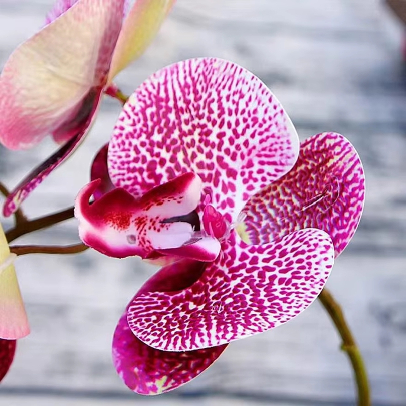 Flores artificiales 3D, maripo - Outdoor Furniture Usa reseña y precio